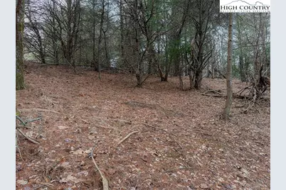 Lot 31 Shawnee Trail, Jefferson, NC 28640 - Photo 11