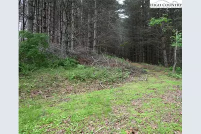 Na Tielcroft Road, Crumpler, NC 28617 - Photo 5