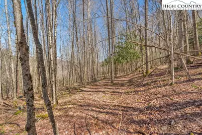 Tbd Arbordale Church Road, Banner Elk, NC 28604 - Photo 11