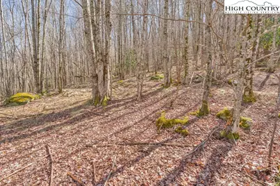 Tbd Arbordale Church Road, Banner Elk, NC 28604 - Photo 7
