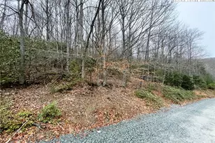 308 Poplar Dr, Beech Mountain, NC 28604 - Photo 1