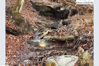 Lots 39 and 40 Snow Ridge Road, Banner Elk, NC 28604 - Photo 7