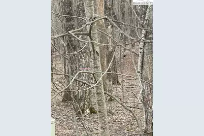 Lot #33 Elk Mountain Parkway, Todd, NC 28684 - Photo 17