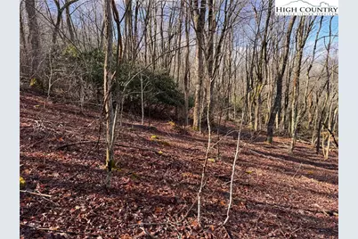 Tbd Horse Bottom Road, Banner Elk, NC 28604 - Photo 35