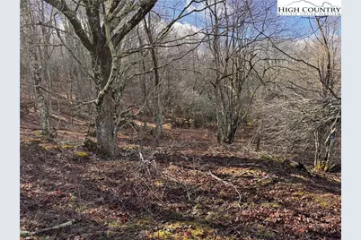 Tbd Horse Bottom Road, Banner Elk, NC 28604 - Photo 19