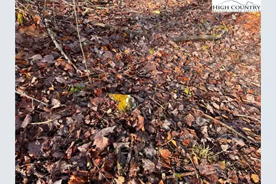 Tbd Horse Bottom Road, Banner Elk, NC 28604 - Photo 33