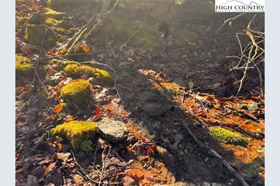 Tbd Horse Bottom Road, Banner Elk, NC 28604 - Photo 5