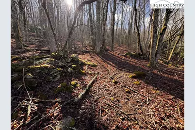 Tbd Horse Bottom Road, Banner Elk, NC 28604 - Photo 15
