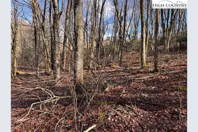 Tbd Horse Bottom Road, Banner Elk, NC 28604 - Photo 31