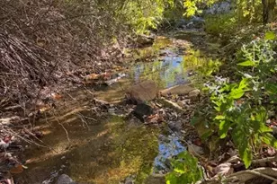 336 Willowdale Church Rd, Vilas, NC 28692 - Photo 45