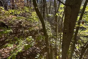 336 Willowdale Church Rd, Vilas, NC 28692 - Photo 43