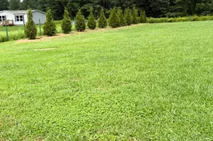 173 Wilderness Family Trail, Ennice, NC 28623 - Photo 3