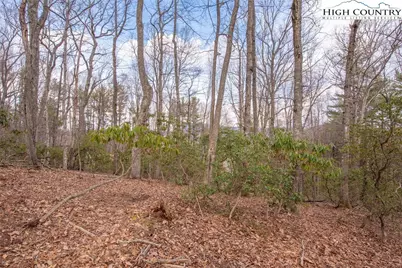 Tbd High Meadows Lane, Fleetwood, NC 28626 - Photo 9