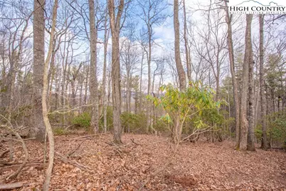 Tbd High Meadows Lane, Fleetwood, NC 28626 - Photo 3