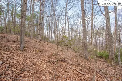 Tbd High Meadows Lane, Fleetwood, NC 28626 - Photo 11