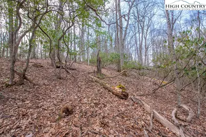 Tbd High Meadows Lane, Fleetwood, NC 28626 - Photo 5