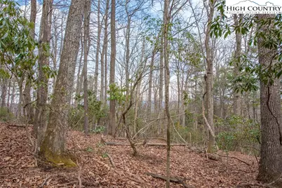 Tbd High Meadows Lane, Fleetwood, NC 28626 - Photo 7