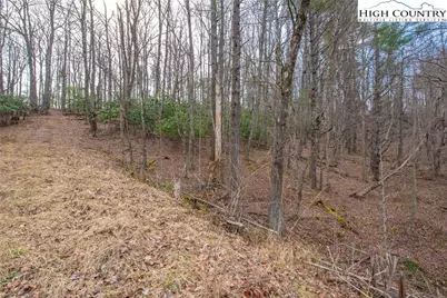 Tbd High Meadows Lane, Fleetwood, NC 28626 - Photo 13