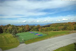 301 Pinnacle Inn Rd, Beech Mountain, NC 28604 - Photo 31