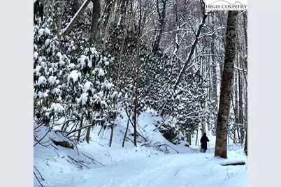 140 Vixen Den Drive, Zionville, NC 28698 - Photo 33