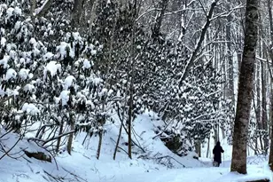 140 Vixen Den Dr, Zionville, NC 28698 - Photo 33