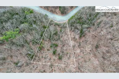 148 Rhododendron Drive, Beech Mountain, NC 28604 - Photo 3