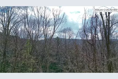 148 Rhododendron Drive, Beech Mountain, NC 28604 - Photo 13