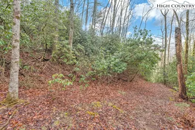 Tbd Jordan V. Cook Road, Boone, NC 28607 - Photo 19
