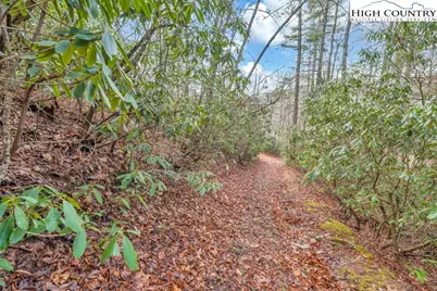 Tbd Jordan V. Cook Road, Boone, NC 28607 - Photo 17