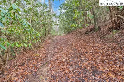 Tbd Jordan V. Cook Road, Boone, NC 28607 - Photo 21