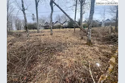 116 N Pinnacle Ridge Drive, Beech Mountain, NC 28604 - Photo 5