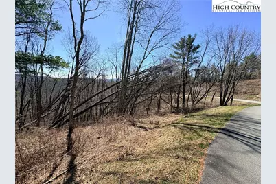 Lot 67 Linhigh Drive, Linville, NC 28646 - Photo 9