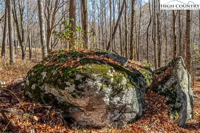 C-89 Smoke Rise Drive, Banner Elk, NC 28604 - Photo 7