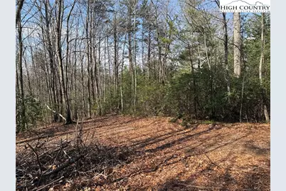 Lot 227 Deer Run Road, Purlear, NC 28665 - Photo 5
