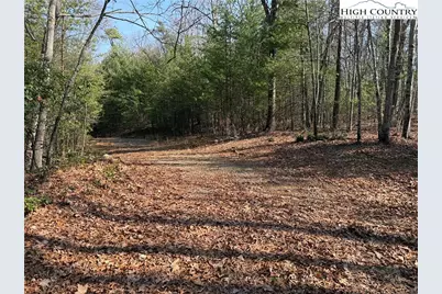 Lot 227 Deer Run Road, Purlear, NC 28665 - Photo 9
