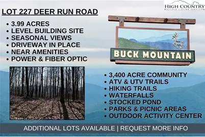 Lot 227 Deer Run Road, Purlear, NC 28665 - Photo 1