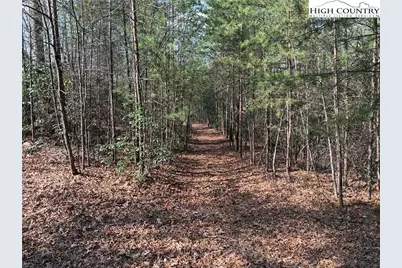 Lot 227 Deer Run Road, Purlear, NC 28665 - Photo 7