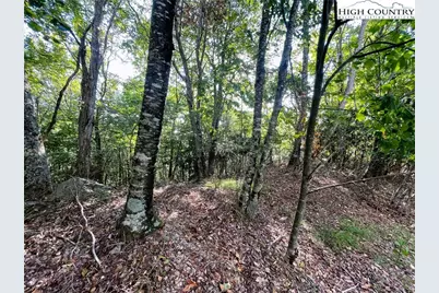 315 Pinnacle Ridge Road, Beech Mountain, NC 28604 - Photo 3