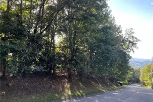 315 Pinnacle Ridge Rd, Beech Mountain, NC 28604 - Photo 1