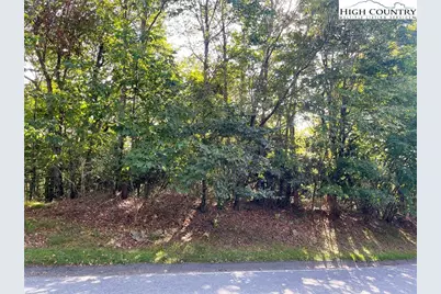 315 Pinnacle Ridge Road, Beech Mountain, NC 28604 - Photo 5