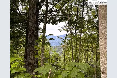 Lot #2A Falls Creek Parkway, Elk Park, NC 28622 - Photo 5
