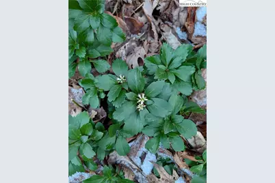 57 Village Road, Roaring Gap, NC 28668 - Photo 39