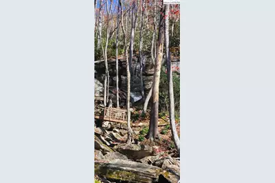 Lot 110 Settlers Knob Road, Elk Park, NC 28622 - Photo 27