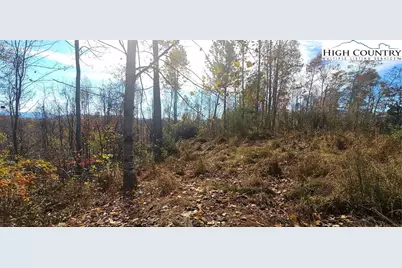 Lot 110 Settlers Knob Road, Elk Park, NC 28622 - Photo 9