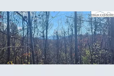 Lot 110 Settlers Knob Road, Elk Park, NC 28622 - Photo 5