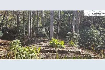 Lot 110 Settlers Knob Road, Elk Park, NC 28622 - Photo 23