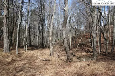 Tbd River Stone Drive, Laurel Springs, NC 28644 - Photo 19