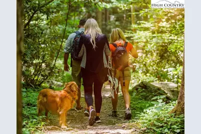1.58 Acres Lady's Mantle (Er9) Lane, Ferguson, NC 28624 - Photo 33