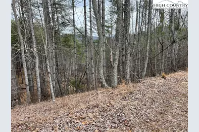 No # Edna Perry Road, Crumpler, NC 28617 - Photo 3