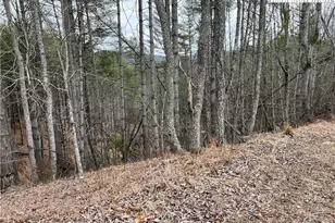 N # Edna Perry Rd, Crumpler, NC 28617 - Photo 1